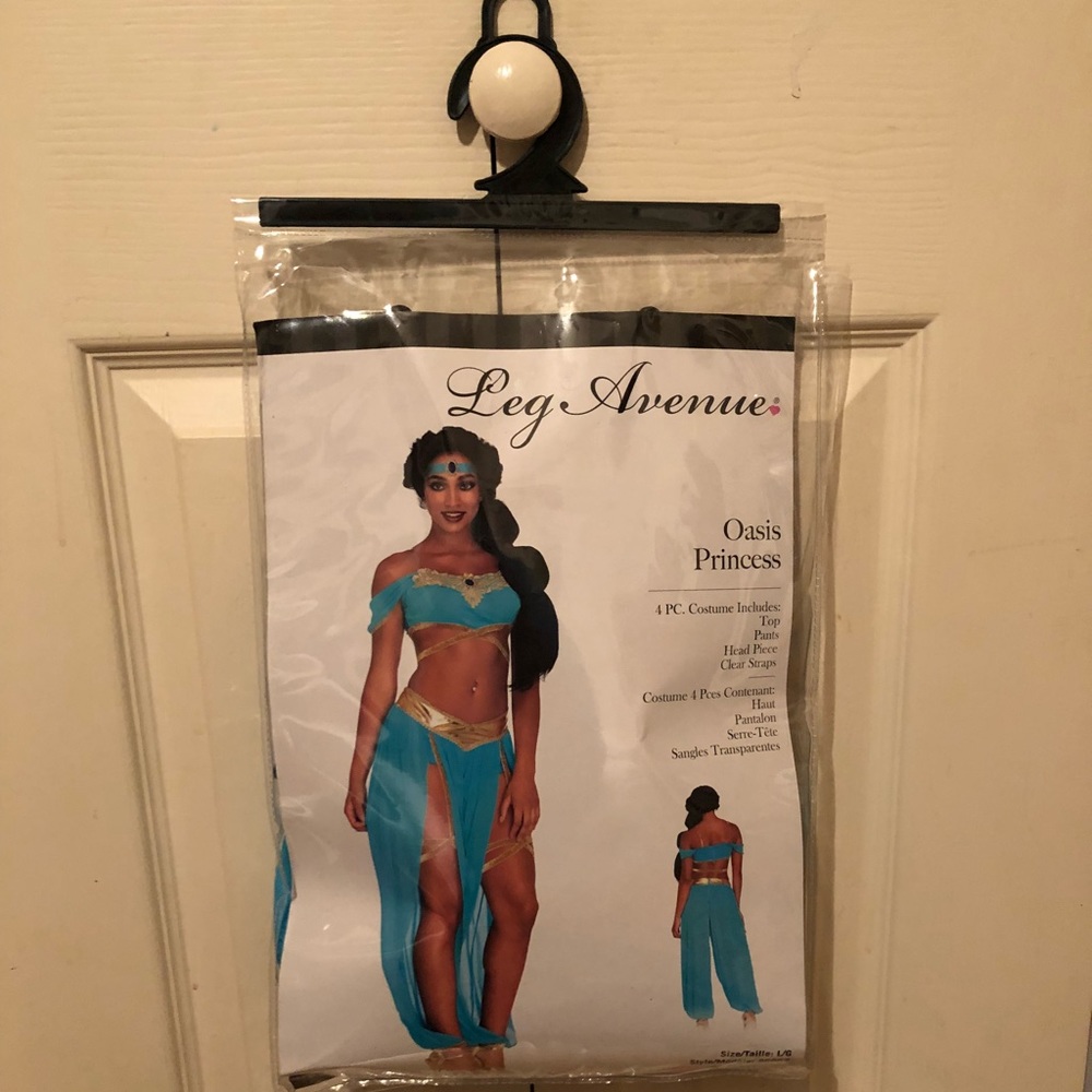 Princess Jasmine costume